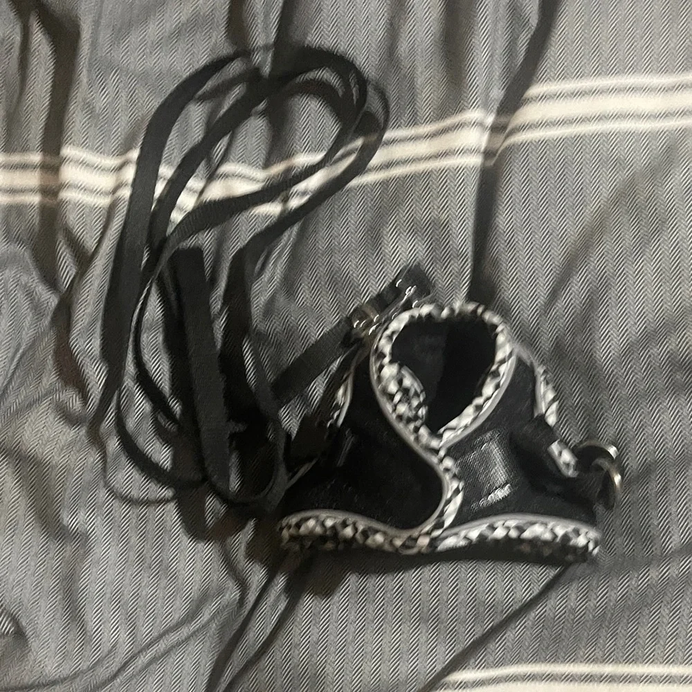 Chic Black and White Cat Harness and Leash Set
